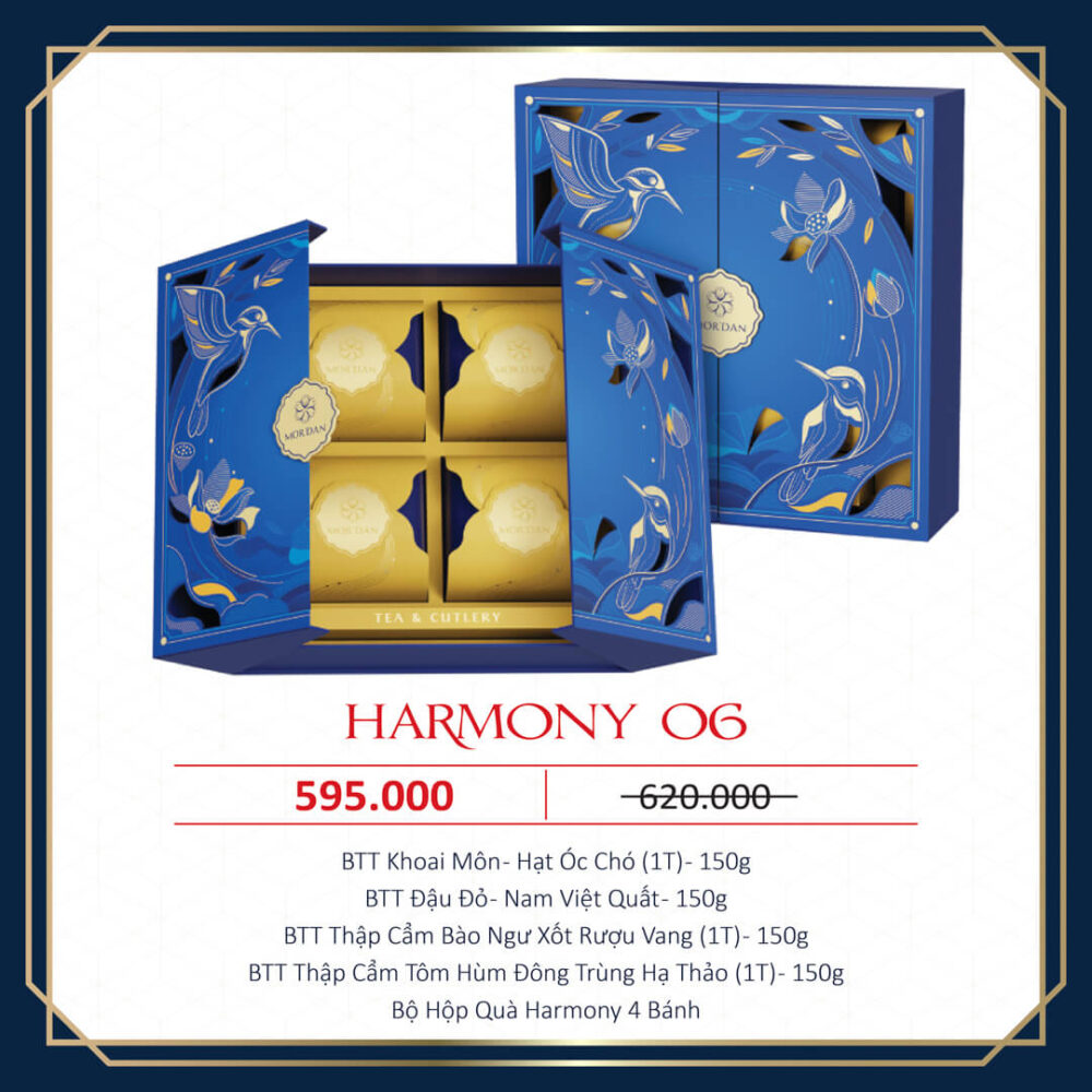 HARMONY 06