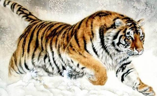 Quà tặng phong thủy cho người tuổi Dần