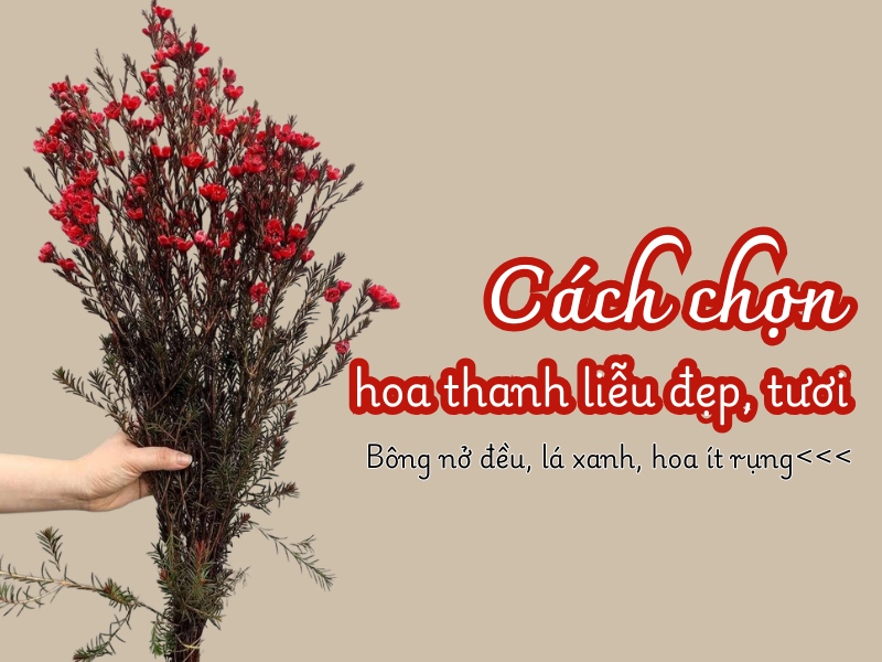 cach-cam-hoa-thanh-lieu-ngay-tet-chon-hoa