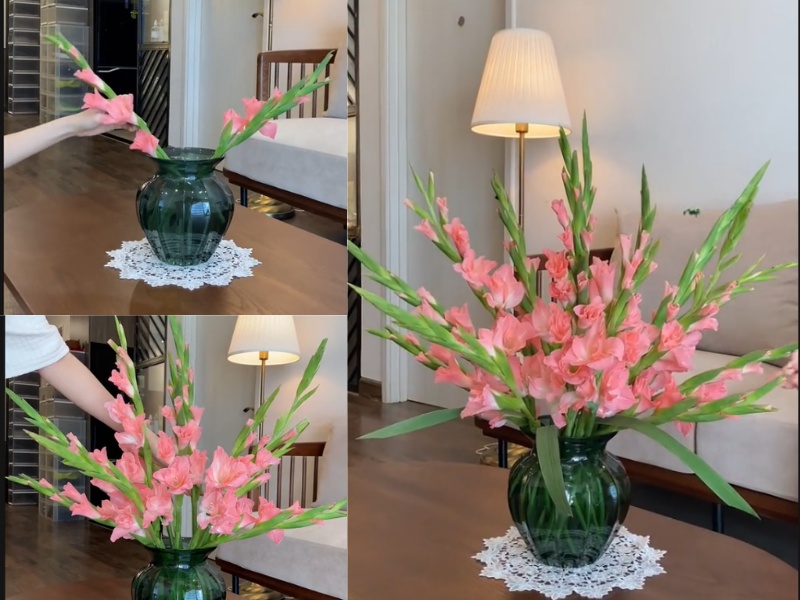 cam-hoa-lay-on-ngay-tet-binh-tron