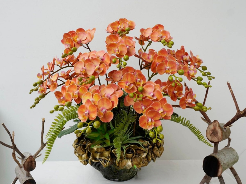 chau-lan-ho-diep-nghe-thuat