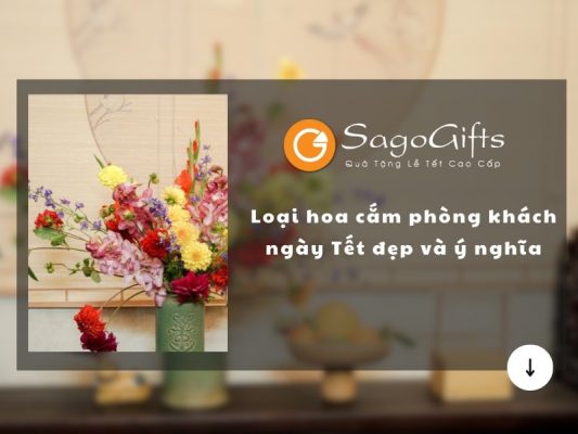 hoa-cam-phong-khach-ngay-tet