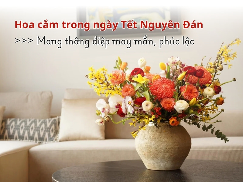 hoa-cam-phong-khach-ngay-tet-y-nghia