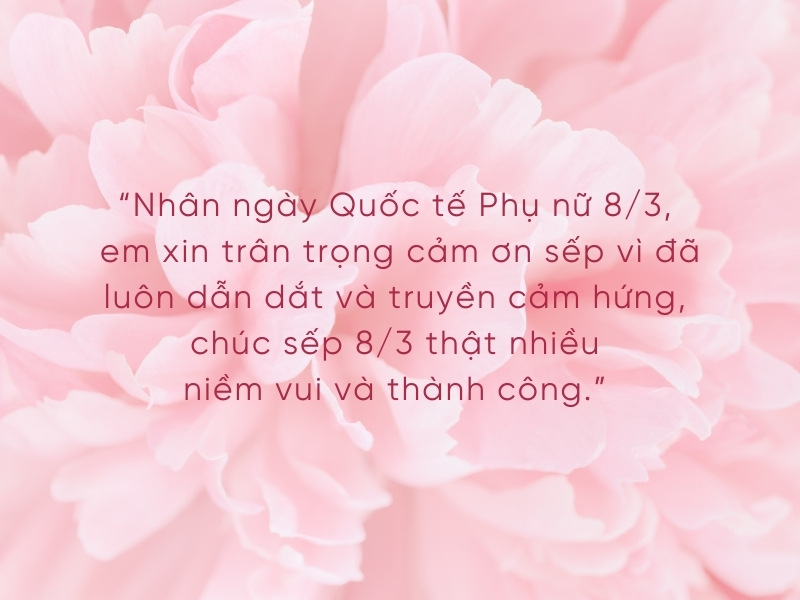 loi-cam-on-sep-ngay-8-3-dong-nghiep-khach-hang