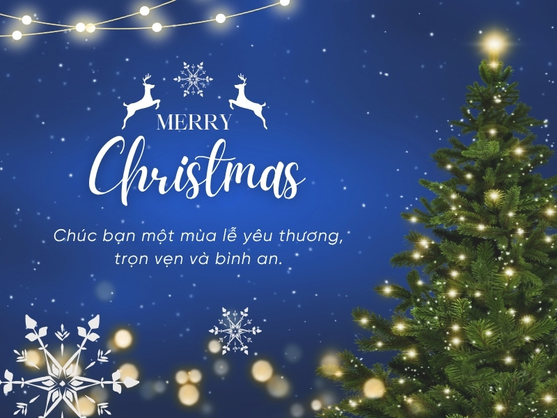 loi-chuc-giang-sinh-cho-ban-be-ngan-gon