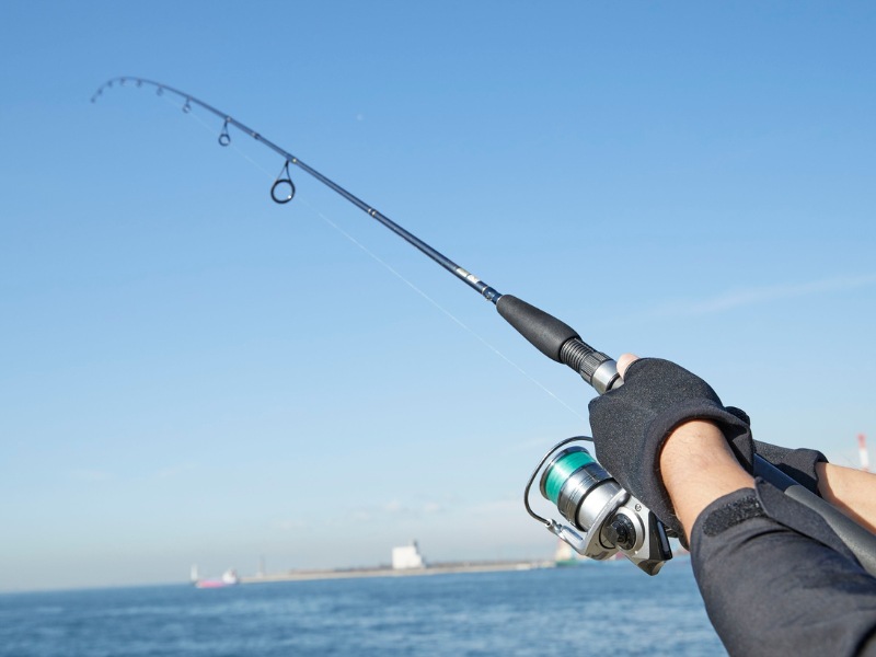 mon-qua-sinh-nhat-dac-biet-can-cau-chuyen-nghiep