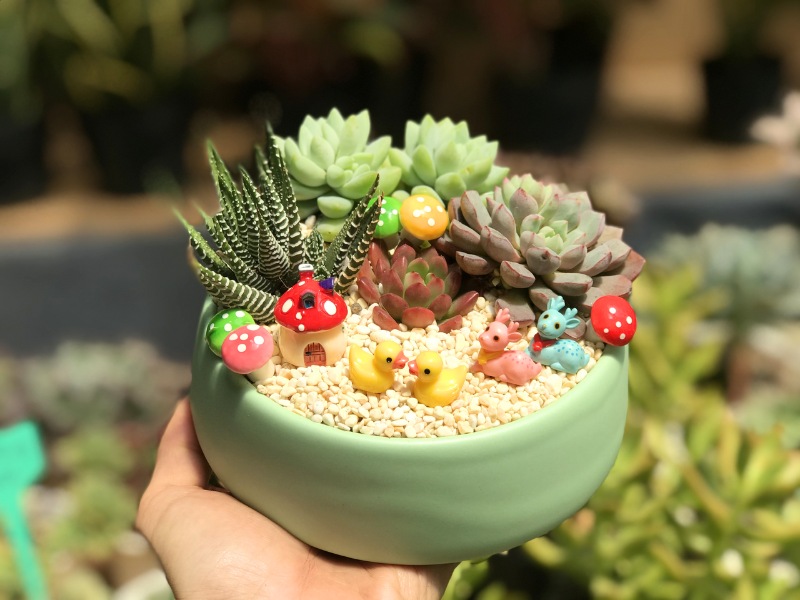 qua-noel-de-thuong-chau-cay-canh-de-ban