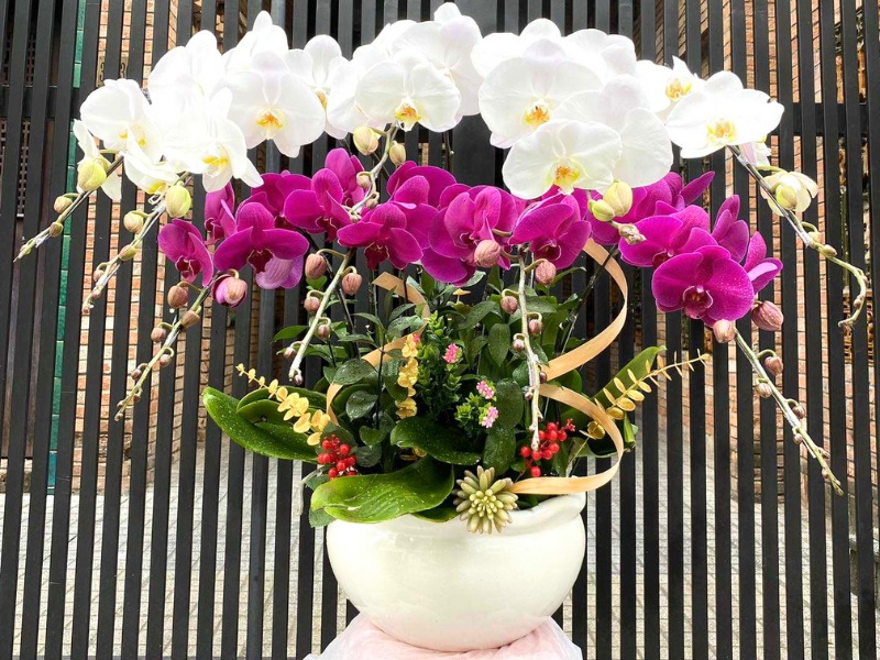 qua-tang-can-bo-ve-huu-chau-lan-ho-diep