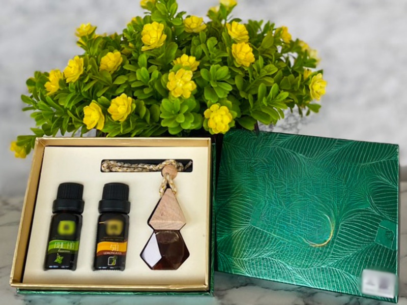 qua-tang-co-giao-mam-non-tinh-dau