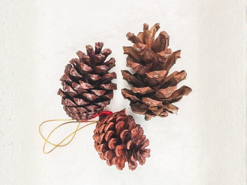 qua-tang-handmade-noel-do-trang-tri-cay-thong-mau1