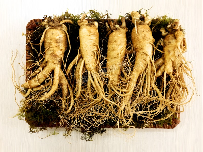 qua-tang-suc-khoe-cho-sep-nhan-sam