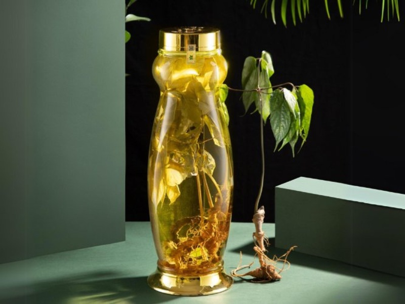 qua-tet-bieu-bo-me-chong-ruou-ngam-sam-ngoc-linh