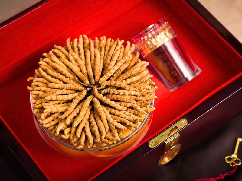 qua-tet-cho-suc-khoe-dong-trung-ha-thao-tay-tang