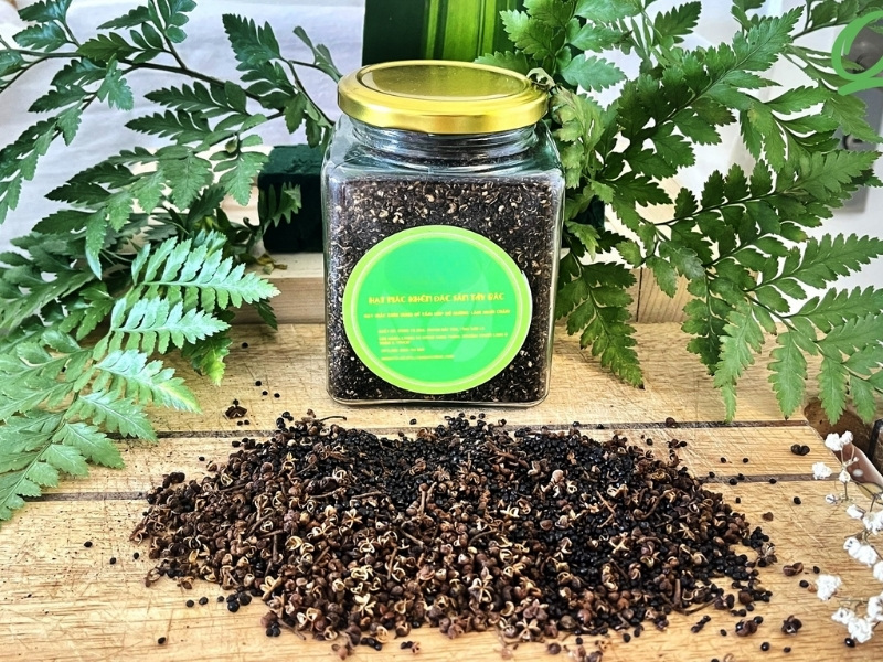 qua-tet-tay-bac-hat-mac-ken