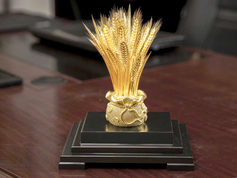 tang-qua-cho-sep-cay-lua-ma-vang