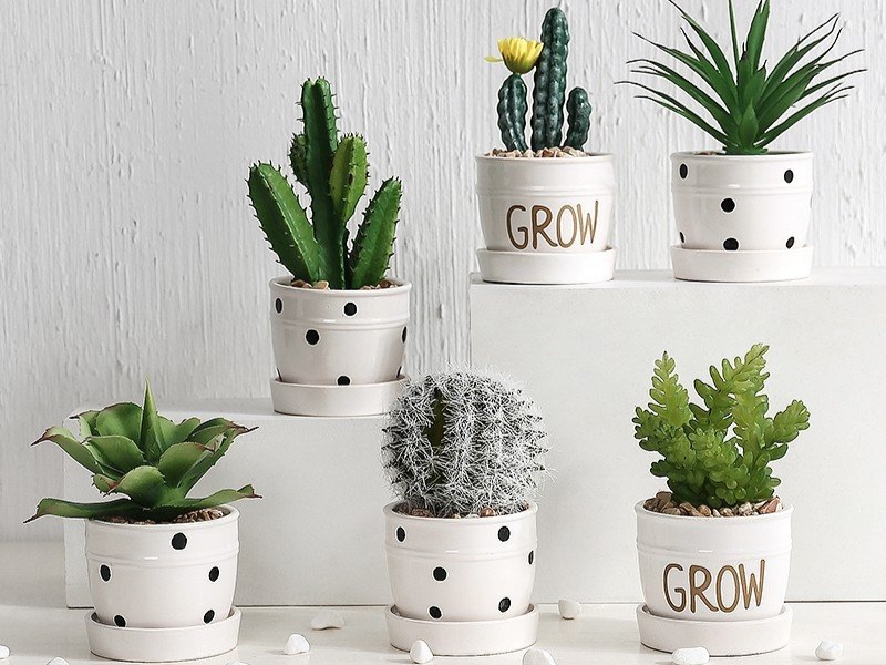 tang-qua-noel-cho-dong-nghiep-cay-de-ban