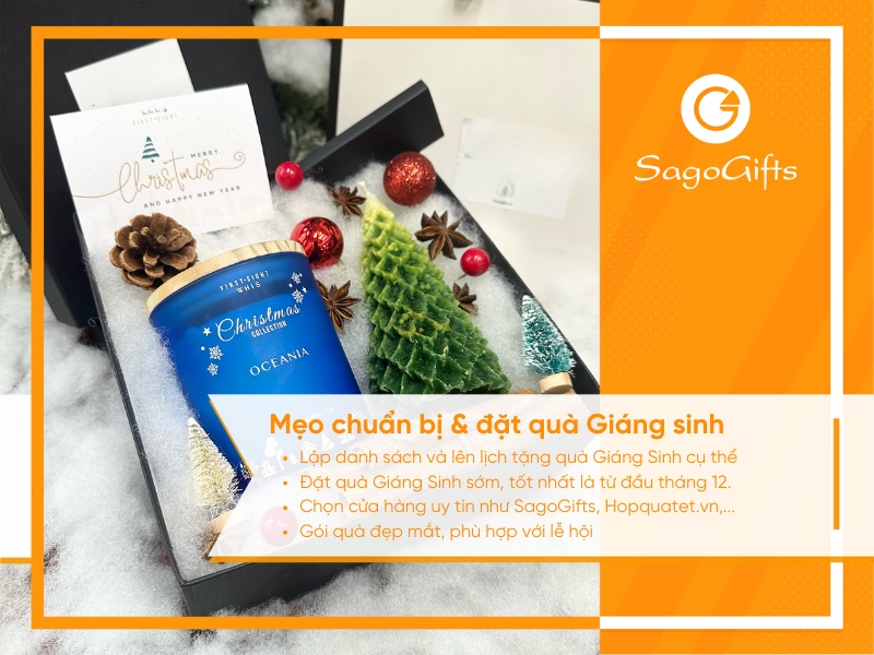 tang-qua-noel-ngay-nao-meo-dat