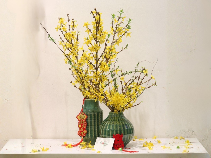 tet-cam-hoa-gi-mai-vang