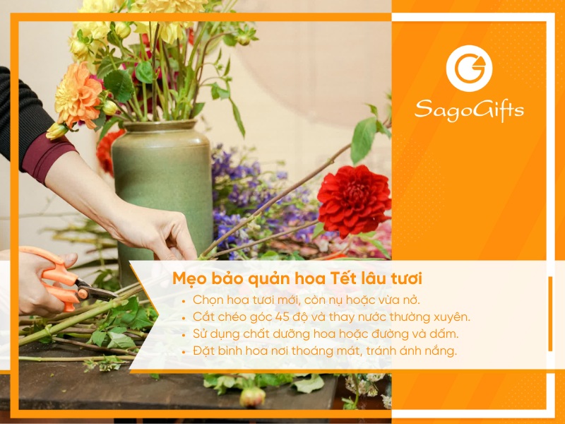 tet-cam-hoa-gi-meo-giu-hoa-tuoi-lau