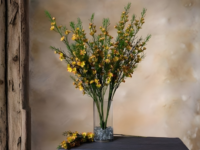 tet-cam-hoa-gi-thanh-lieu