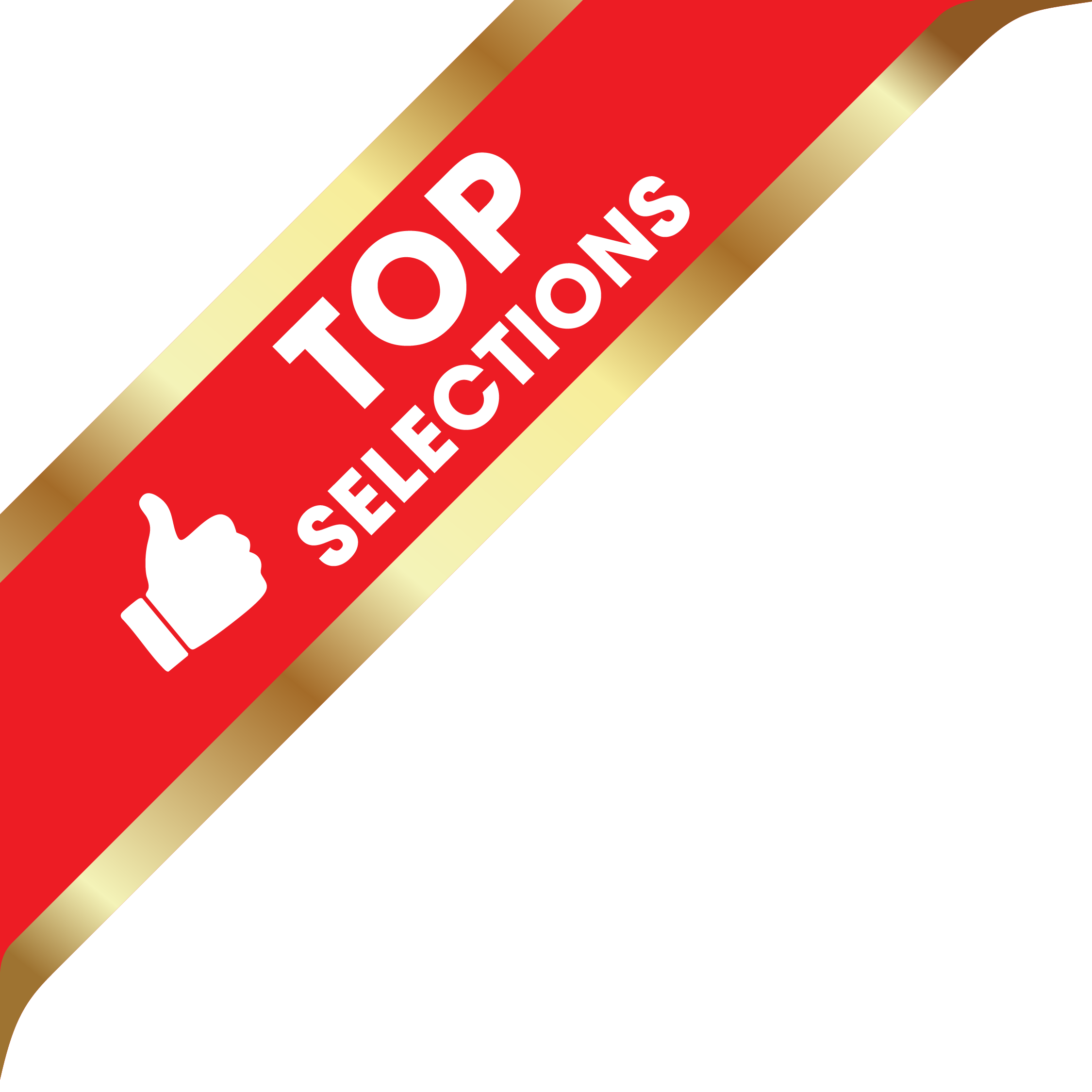 TopSLT