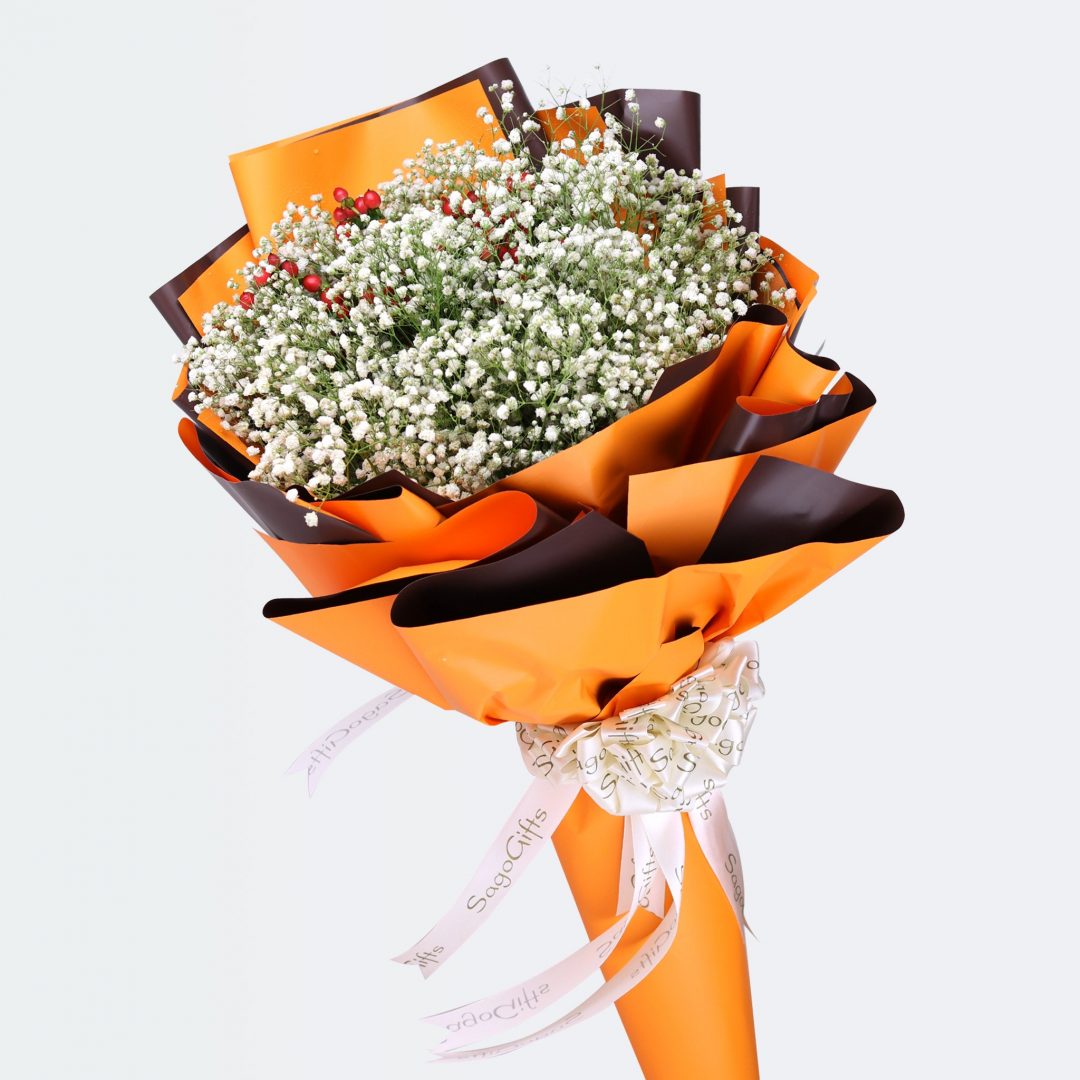 Bo_Sagogifts-13